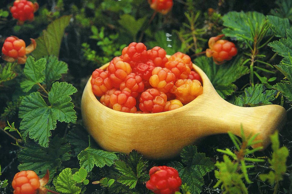cloudberry